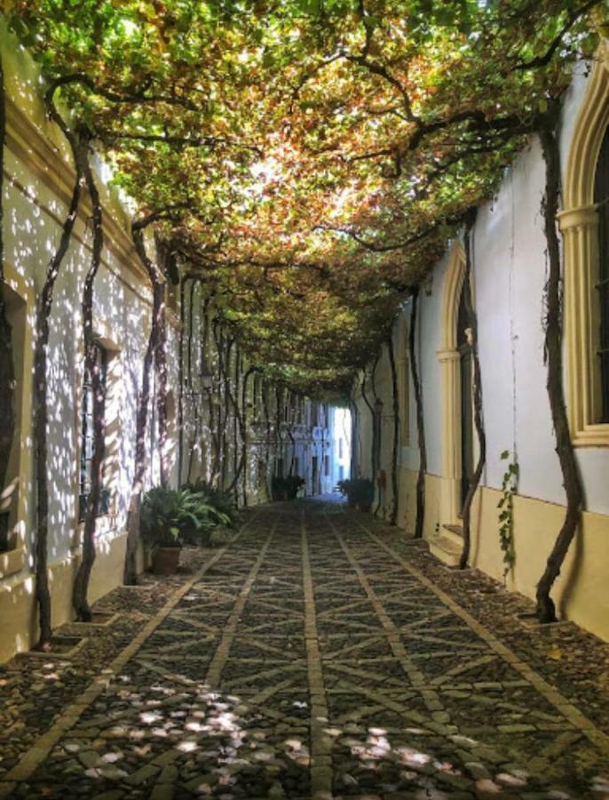 Mariniguez Apartament. Jerez de la Frontera Buitenkant foto