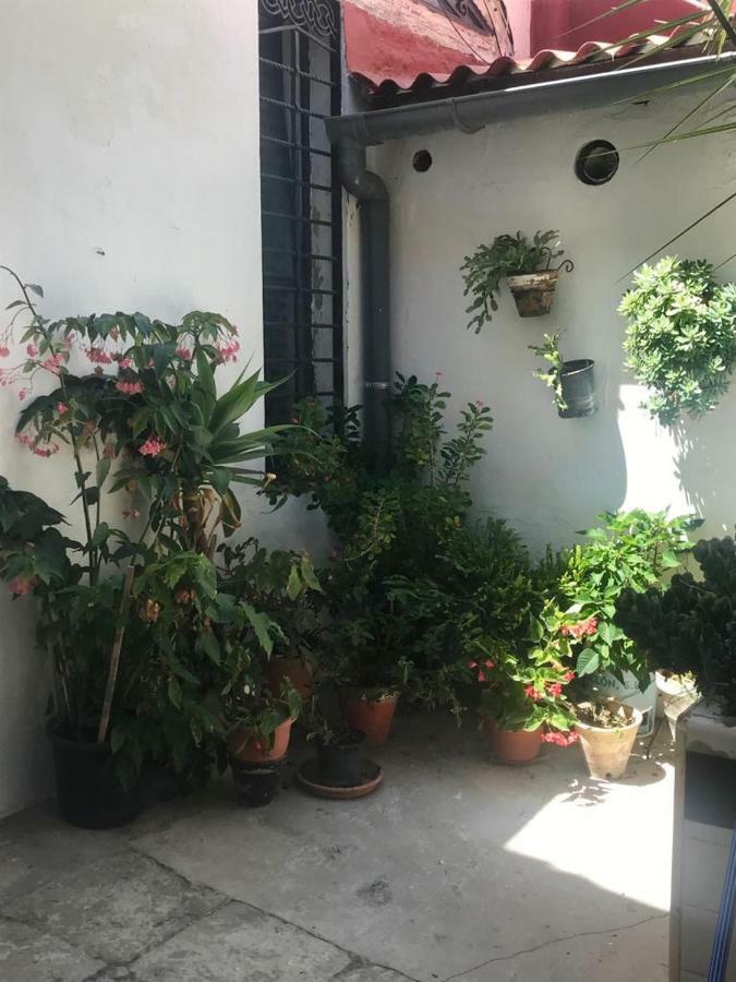 Mariniguez Apartament. Jerez de la Frontera Buitenkant foto